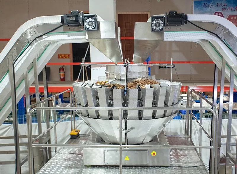 dry fruit packing machine