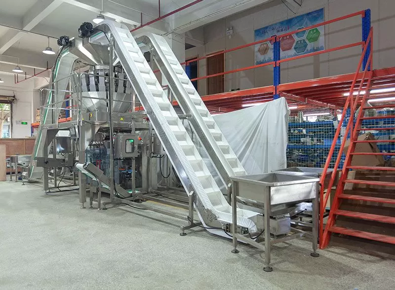 frozen food packaging machine